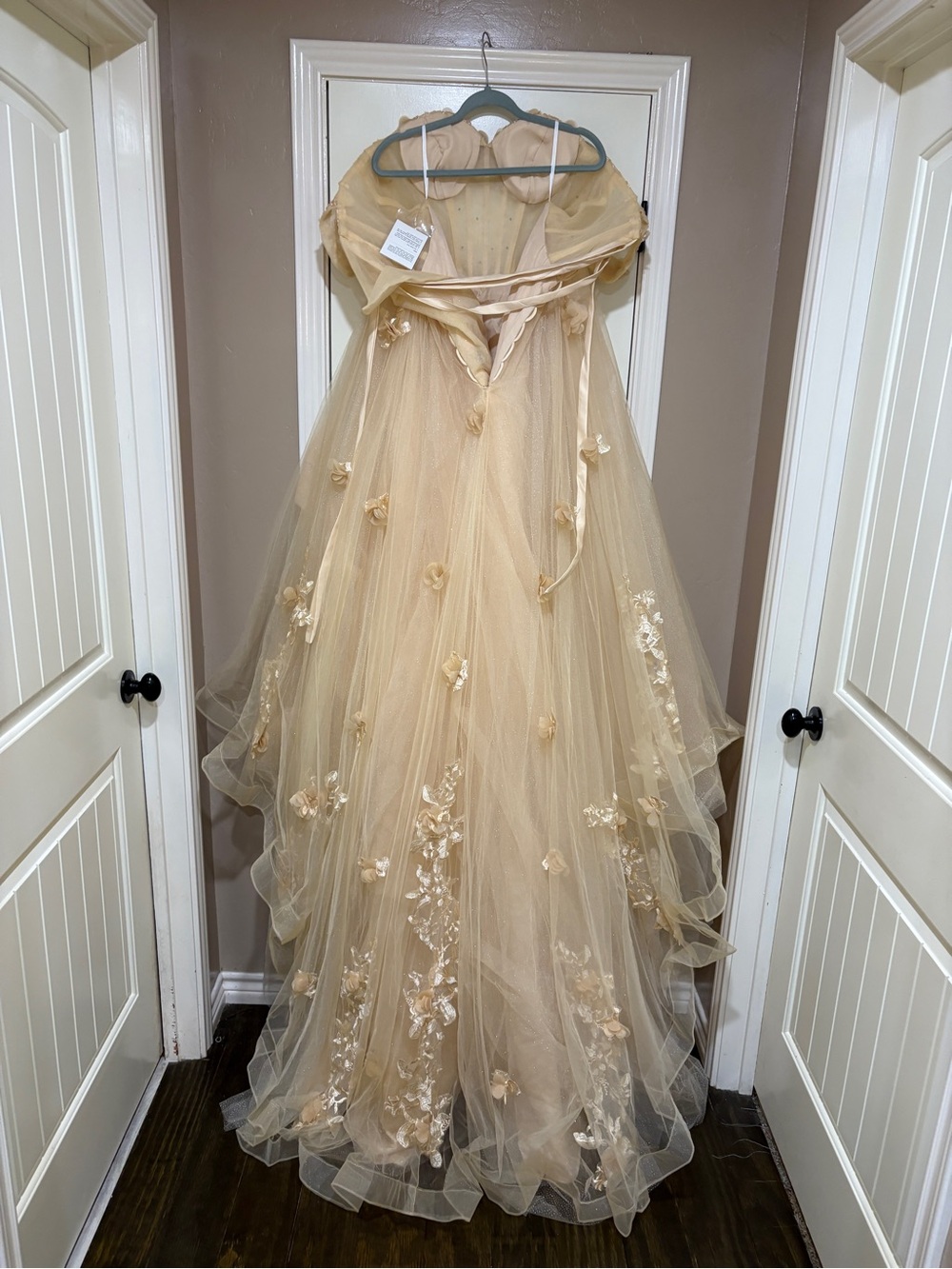 Champagne Tulle Ball Gown with Floral Appliqués - Picture 7 of 11